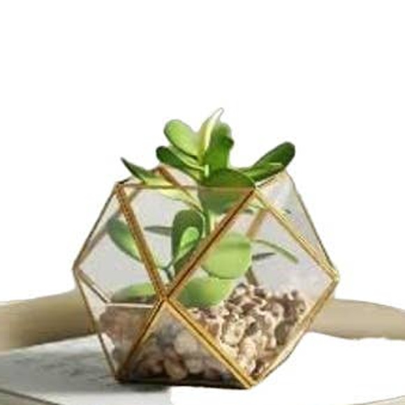 Set of (2) 5" x 4" Artificial Succulent Plant with Brass Terrarium - Opalhouse - Picture 2 of 8